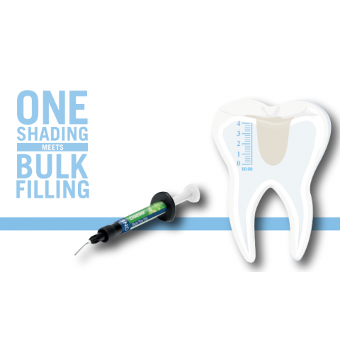 Kulzer Charisma® Bulk Flow One